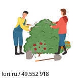 Man and woman tending bushes vector, people cutting flora with special gardening scissors, roses and flowering plant with foliage and frondage isolated. Farming People Man and Woman Cutting Bushes Vector. Стоковая иллюстрация, агентство Ingram Publishing / Фотобанк Лори