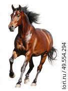 A brown horse is seen galloping energetically on its hind legs in a lively display of strength and power. Стоковое AI-изображение, AI-художник Данила Большаков / Фотобанк Лори