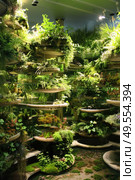 A room brimming with a diverse array of plants, ranging from tall leafy greens to hanging vines, creating a lush and vibrant indoor garden. Стоковое AI-изображение, AI-художник Данила Большаков / Фотобанк Лори