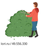 Gardener cutting bush, back view of man character decoration plant by scissors, worker shaping garden, person in working clothes pruning hedge vector. Professional Gardener Man Shaping Plant Vector. Стоковая иллюстрация, агентство Ingram Publishing / Фотобанк Лори