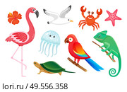 Summer symbols, exotic wild birds and animals vector. Flamingo and gull, jellyfish and crab, parrot and turtle, gecko and starfish isolated tropic species. Exotic Wild Birds and Animals, Summer Symbols. Стоковая иллюстрация, агентство Ingram Publishing / Фотобанк Лори