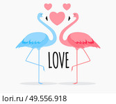 Cute card with flamingos. Love and Valentine’s day Background. Vector Illustration EPS10. Cute card with flamingos. Love and Valentine’s day Background. Vector Illustration. Стоковая иллюстрация, агентство Ingram Publishing / Фотобанк Лори