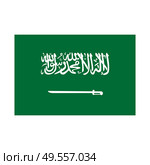Green flag of saudi arabia with a sword. The correct size, proportion 2:3. Vector Illustration. EPS10. Green flag of saudi arabia with a sword. The correct size, proportion 2:3. Vector Illustration. Стоковая иллюстрация, агентство Ingram Publishing / Фотобанк Лори