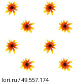 Colorful yellow echinacea on white background. Seamless pattern. Vector illustration. EPS10. Colorful yellow echinacea on white background. Seamless pattern. Vector illustration. Стоковая иллюстрация, агентство Ingram Publishing / Фотобанк Лори