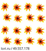 Colorful yellow echinacea on white background. Seamless pattern. Vector illustration. EPS10. Colorful yellow echinacea on white background. Seamless pattern. Vector illustration. Стоковая иллюстрация, агентство Ingram Publishing / Фотобанк Лори