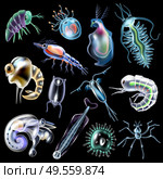 Plankton colored luminescent icons set in cartoon style on black background isolated vector illustration. Plankton Set On Black Background. Стоковая иллюстрация, агентство Ingram Publishing / Фотобанк Лори