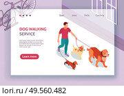 Dog walking service isometric web page banner with contacts info man holding 3 pets leashes vector illustration. Стоковая иллюстрация, агентство Ingram Publishing / Фотобанк Лори