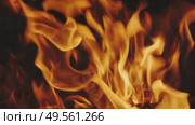 Burning fire flame closeup in fireplace. Стоковое видео, видеограф Михаил Коханчиков / Фотобанк Лори
