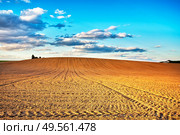 Agricultural landscape, arable crop field after mechanized planting. Linear plowed agriculture on hills. Minsk region, Belarus. Стоковое фото, агентство Ingram Publishing / Фотобанк Лори