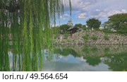 Himeji, Japan - Sep 24 2024, 4k, panoramic view through foliage of a tree, at entrance gate, pond with mirrored water, with White Heron Castle on background, at daytime with cloudy sky, Himeji, Japan. Стоковое видео, видеограф Сергей Богомяко / Фотобанк Лори