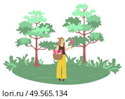 Woman picking up flowers in forest with green trees. Vector female character outdoors with basket full of summer and spring blossoms, person in park. Woman Picking Flowers. Forest with Trees. Vector. Стоковая иллюстрация, агентство Ingram Publishing / Фотобанк Лори