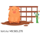 Piggy sitting in mud near wooden fence and flowers, pig farm animal, portrait view of countryside piglet, dirty swine near blossom, agricultural vector. Piglet Sitting in Mud, Farm Animal, Piggy Vector. Стоковая иллюстрация, агентство Ingram Publishing / Фотобанк Лори