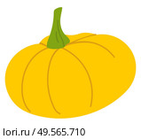 Yellow pumpkin isolated autumn vegetable icon. Vector Halloween party symbol, autumn harvest or crop, grocery store or shop product. Squash or gourd. Yellow Pumpkin Isolated Autumn Vegetable Icon. Стоковая иллюстрация, агентство Ingram Publishing / Фотобанк Лори