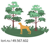Green forest with trees and bushes and hunting dog pointer isolated cartoon animal. Vector pet and green wood, purebred for hunt, pedigree hound. Green Forest with Trees and bushes and Hunting Dog. Стоковая иллюстрация, агентство Ingram Publishing / Фотобанк Лори