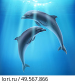 Dolphin in sea realistic and colored composition two dolphins swim underwater and sun ryes break through water vector illustration. Стоковая иллюстрация, агентство Ingram Publishing / Фотобанк Лори