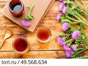 Thistle or silybum in folk herbal medicine.Healing wild herbs.. Milk thistle in herbal medicine. Стоковое фото, агентство Ingram Publishing / Фотобанк Лори