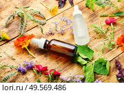 Bottles of essential oil with fresh herbs and flowers.Alternative healthy medicine. Essential oils with herbs and flowers. Стоковое фото, агентство Ingram Publishing / Фотобанк Лори