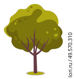 Spring season, isolated plant with big trunk, greenery of forest or park, green foliage of summer tree, leaves frondage flat style, cartoon oak. Vector illustration in flat cartoon style. Spring Season Vector, Isolated Plant with Big Trunk. Стоковая иллюстрация, агентство Ingram Publishing / Фотобанк Лори