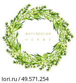 Watercolor wreath with herbs and microgreen. Illustration. Watercolor wreath with herbs and microgreen. . Стоковое фото, агентство Ingram Publishing / Фотобанк Лори