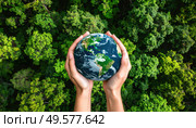 Hands holding Earth above a lush green forest, representing environmental stewardship, global responsibility, and sustainability awareness. Стоковое AI-изображение, AI-художник Igor Tichonow / Фотобанк Лори