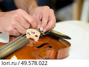 close up of hands putting new violin bridge. Стоковое фото, агентство Ingram Publishing / Фотобанк Лори