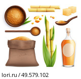 Cane sugar realistic icon set with different products made from sugar cane vector illustration. Стоковая иллюстрация, агентство Ingram Publishing / Фотобанк Лори