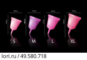 Menstruation hygiene set with menstruation cup size realistic isolated vector illustration. Стоковая иллюстрация, агентство Ingram Publishing / Фотобанк Лори