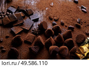 healthy delicious chocolate truffles around ingridients with natural cocoa beans,  powder, cacao butter, cane sugar. healthy sweets concept. . Стоковое фото, агентство Ingram Publishing / Фотобанк Лори