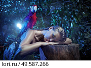 Senual woman with a colorful ara parrot. Стоковое фото, агентство Ingram Publishing / Фотобанк Лори