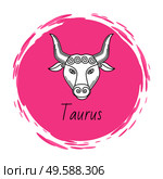 Taurus zodiac sign of bull with horns. Horoscope and astrology symbol of people born in april and may. taurens sign in circle, isolated icon in flat. Astrological element in circular shape vector. Taurus Astrological Sign for Horoscope Zodiac. Стоковая иллюстрация, агентство Ingram Publishing / Фотобанк Лори