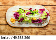 Paupiette from salad,salmon and dried apricots.Salmon salad with green leaves. Paupiette from salad and fish. Стоковое фото, агентство Ingram Publishing / Фотобанк Лори