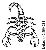 Eight astrological sign, scorpio associated with sky constellation. Zodiac represented by arachnid animal with poison in tail, scorpion symbol. Contour drawing on white background. Vector illustration. Zodiac Scorpio Sign, Animal with Poison, Scorpion. Стоковая иллюстрация, агентство Ingram Publishing / Фотобанк Лори