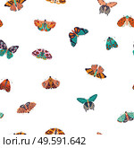 Seamless pattern with colorful hand drawn butterflies and moths on white background. Stylized flying insects, vector illustration. . Стоковая иллюстрация, агентство Ingram Publishing / Фотобанк Лори
