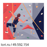 Climbing wall training. Young brunette girl climbing at training wearing sportswear rock wall. Woman using special equipment, rope. Bouldering sport. Leisure activity, sports training. Sports woman with equipment climbing at training rock wall, leisure activity, bouldering sport. Стоковая иллюстрация, агентство Ingram Publishing / Фотобанк Лори