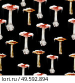 Watercolor seamless pattern with poisonous fly agaric mushroom. Illustrations.. Watercolor seamless pattern with poisonous fly agaric mushroom. . Стоковое фото, агентство Ingram Publishing / Фотобанк Лори