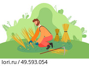 Farmer wearing in overalls harvesting ears of wheat on the field. Agricultural worker, autumn harvest. A man mower with a scythe cuts grain crop and binds in sheaf. Ecological farming and manual labor. Farmer wearing in overalls harvesting ears of wheat on the field. Agriculture, autumn harvest. Стоковая иллюстрация, агентство Ingram Publishing / Фотобанк Лори