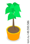Decorative topiary tree in pot isolated at white background. Houseplant in flowerpot. Indoor or outdoor decorative tree with round crown. Domestic greenery. Vector icon for logo, website or apps. Decorative topiary tree in pot isolated at white background, houseplant in flowerpot, outdoor decor. Стоковая иллюстрация, агентство Ingram Publishing / Фотобанк Лори