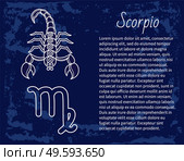 Scorpio zodiac sign decorative design for horoscope. Astrology symbol, isolated icon with scorpion in circle. November and october as ruling months of astrological element. Vector in flat style. Scorpio Zodiac Sign Astrology and Horoscope Vector. Стоковая иллюстрация, агентство Ingram Publishing / Фотобанк Лори