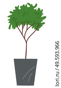 Decorative topiary tree in pot isolated at white background. Houseplant in flowerpot. Indoor or outdoor decorative tree with round crown. Domestic greenery. Vector icon for logo, website or apps. Decorative topiary tree in pot isolated at white background, houseplant in flowerpot, outdoor decor. Стоковая иллюстрация, агентство Ingram Publishing / Фотобанк Лори