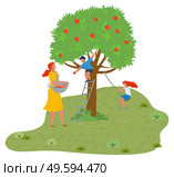 Mother, son and daughter have fun in the garden. Son sits on an apple tree and throws apples, mother collects apples in an apron, daughter swings on a homemade carousel. Fresh air outdoor activity. Family have fun in fresh air in the garden near apple tree. Mother, son and daughter. Flat image. Стоковая иллюстрация, агентство Ingram Publishing / Фотобанк Лори