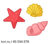 Sea organism, aquatic nautical shellfish, coral star, starfish, shell, mollusk, sea or ocean symbols, tropical concept, marine life, coral stars, creature, marine summer tropical exotic wildlife. Sea organism, aquatic nautical shellfish, coral star, starfish, shell, mollusk, sea or ocean symbols. Стоковая иллюстрация, агентство Ingram Publishing / Фотобанк Лори