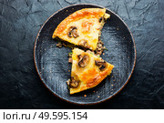 Pie with minced beef and mushrooms on plate.Piece of meat pie. Meat pie with champignon. Стоковое фото, агентство Ingram Publishing / Фотобанк Лори