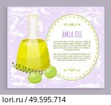 Glass vessel contains liquid inside, amla oil. Indian gooseberries and branch with leaves near glassware. Green small berries near bottle. Space for information about product. Vector illustration. Information About Amla Oil in Vessel, Gooseberries. Стоковая иллюстрация, агентство Ingram Publishing / Фотобанк Лори