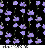 Hand drawn Campanula Flower seamless pattern background. Vector Illustration EPS10. Hand drawn Campanula Flower seamless pattern background. Vector Illustration. Стоковая иллюстрация, агентство Ingram Publishing / Фотобанк Лори