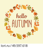 Abstract Hello Autumn Background with Falling Leaves, Rowan and Acorn. Vector Illustration EPS10. Abstract Hello Autumn Background with Falling Leaves, Rowan and Acorn. Vector Illustration. Стоковая иллюстрация, агентство Ingram Publishing / Фотобанк Лори