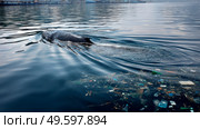 Plastic pollution in the ocean is an environmental problem. Whales swim among plastic waste in the ocean. A global problem, a threat to ocean wildlife and calling for urgent action to protect the environment. Стоковое AI-изображение, AI-художник ALLA YURTAYEVA / Фотобанк Лори