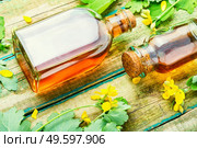 Healing tincture of celandine in a bottle.Alternative medicine.Medicinal plant celandine.. Medicinal tincture of celandine,herbal medicine. Стоковое фото, агентство Ingram Publishing / Фотобанк Лори