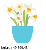 Bouquet of spring flowers daffodils in flower pot isolated on white background. Bouquet of spring flowers daffodils in flower pot isolated on white background. EPS10. Стоковая иллюстрация, агентство Ingram Publishing / Фотобанк Лори