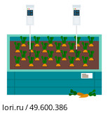 Growing vegetables in laboratory, using soil analyzer, control the smart farm and agriculture. Cultivation of carrot. New technologies. Modern approach in urban agriculture. Hydroponics system. Growing vegetables, using solar energy. Box with carrot and soil analyzer. Urban agricultural. Стоковая иллюстрация, агентство Ingram Publishing / Фотобанк Лори