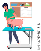 Piglet at reception of veterinarian. Veterinarian in protective uniform examines pet on vet table. Shelves with folders, medical records, medicine bottles, disposable wipes. Big green leaves. Veterinarian girl examines pig at vet room. Pet on the veterinary table. Veterinarian treats piglet. Стоковая иллюстрация, агентство Ingram Publishing / Фотобанк Лори